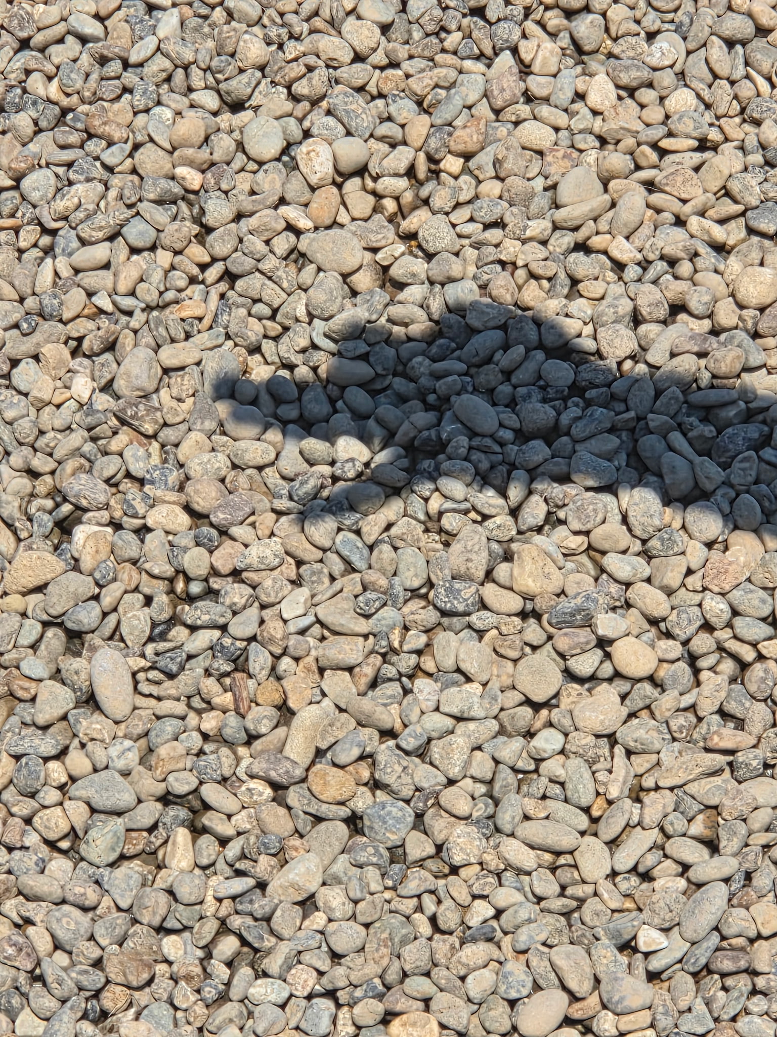 Services | Kitsap Quarry